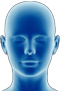 head